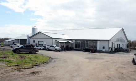 Overdale Farms Open Barn