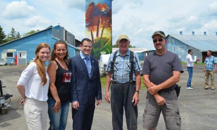 Popsilos brings urban art to rural Ontario