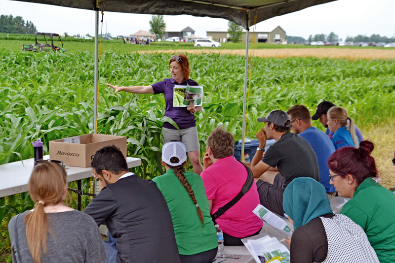 Eastern Ontario Crop Diagnostic Day fields dialogue