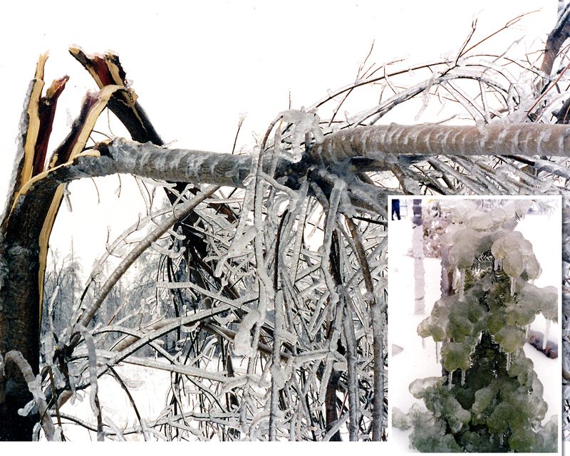 An ode to the Ice Storm – 20 years later