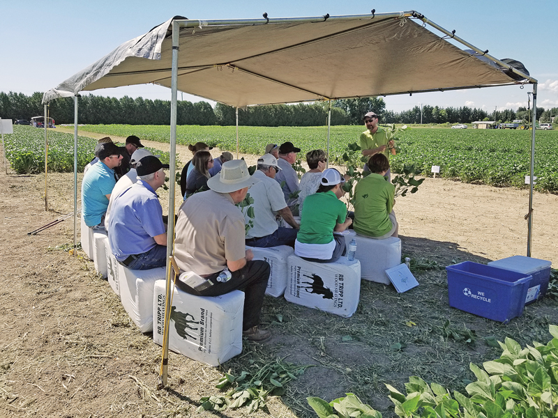 Eastern Ontario Crop Diagnostic Day entertains 21st year