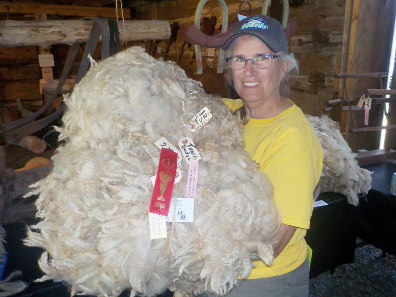 Sheep district boss wins top fleece prize