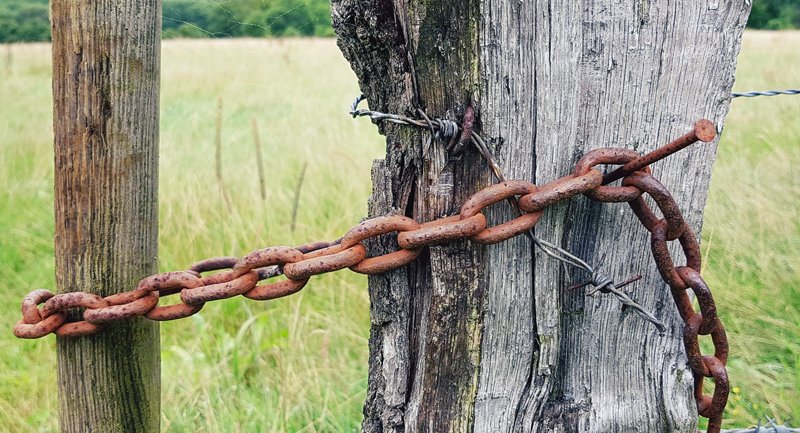 Proposed bill addresses on-farm trespass to protect Ontario farmers