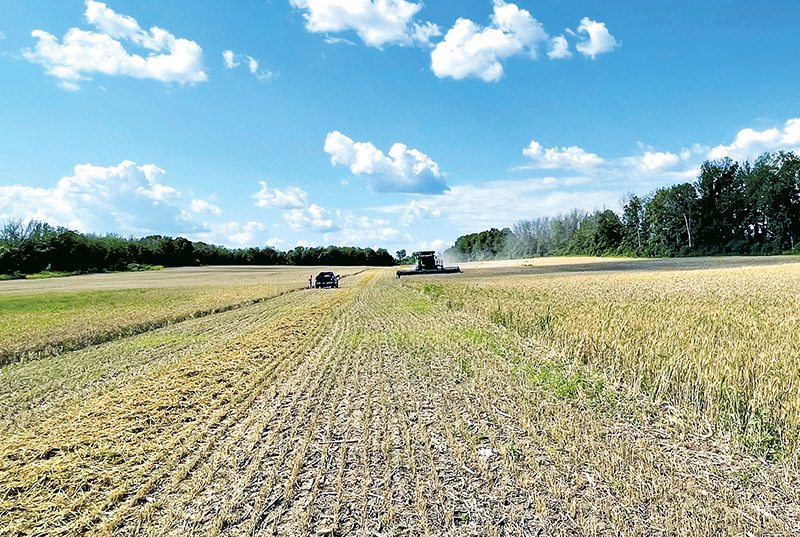 Cereal harvest is underway in Eastern Ontario