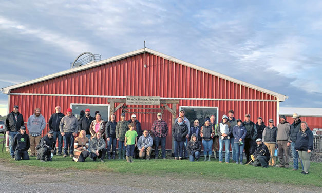 Diverse management options on area sheep farms