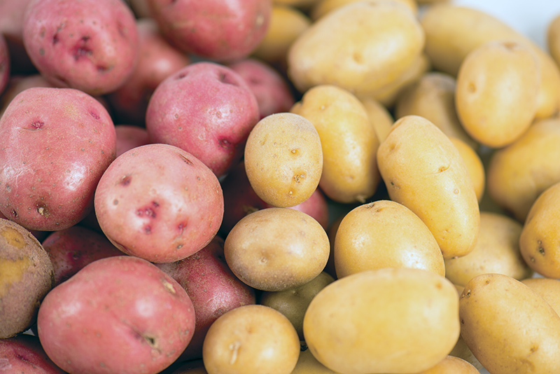 PEI potato farmers wait for resolution to trade dispute