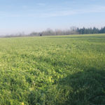 CCMB promotes cover crop philosophy