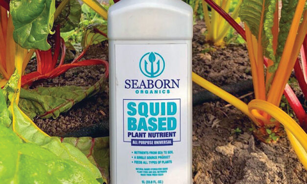 Organically certified Squid Juice