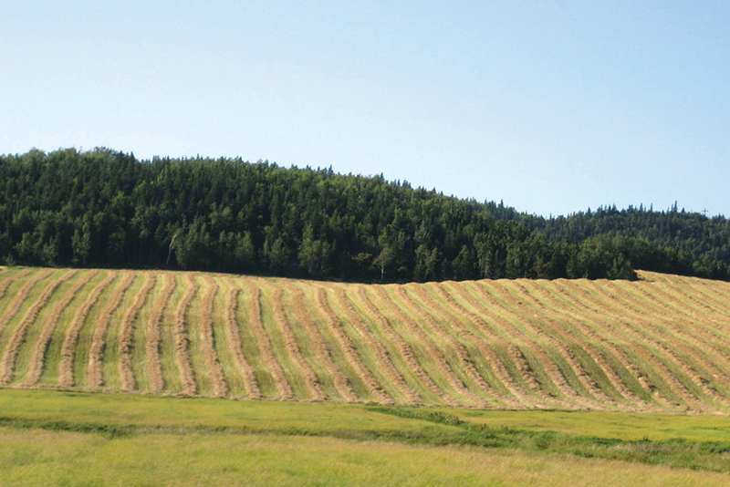 Farmers and their organizations speak up to protect Ontario’s farmland