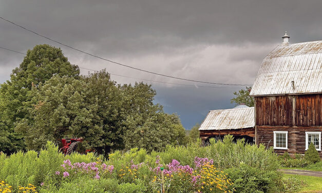 The calm between two storms