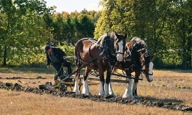 Stormont County Plowing Match was a great way to spend a day