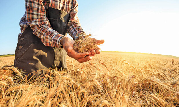 Cereals Canada predicts tariffs on Canadian cereals will hurt North American consumers