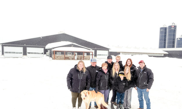 People were essential to the recovery of Cecilbay Farm, now they celebrate a job well done