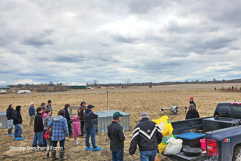 Regenerative agriculture embraces innovation with sheep integration and drone technology