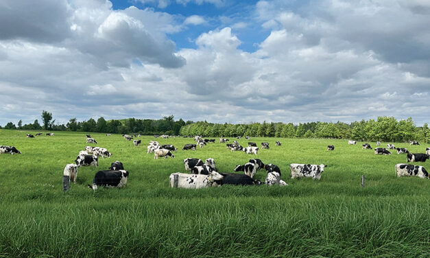 Supporting dairy