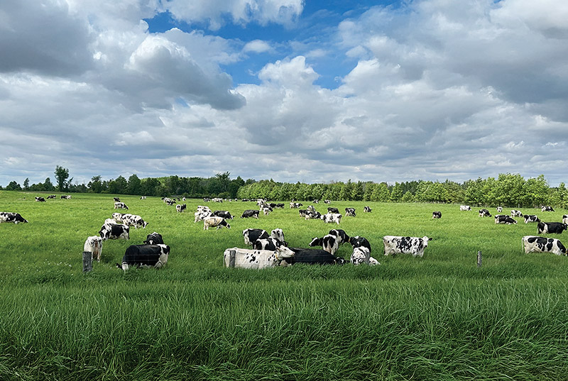 Supporting dairy