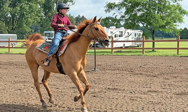 Maxville Fair kicks off fair season