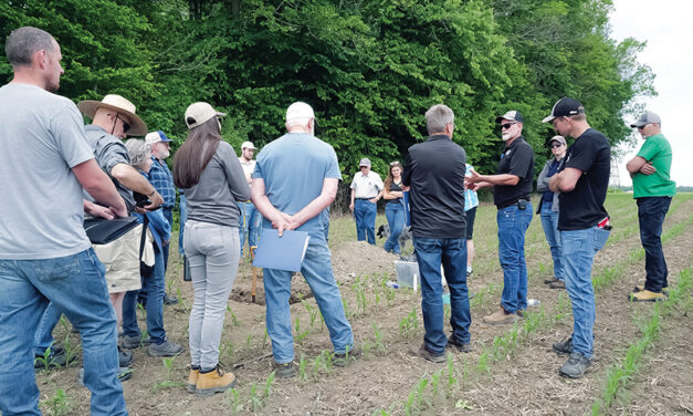 ALUS Agri-Action Lunch and Learn soil health workshop a morning well spent
