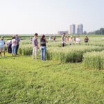Agriculture and Agri-Food Canada (AAFC) Ottawa Oat and Wheat Field Days