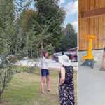 Farmgate Cider: A family affair in every sip