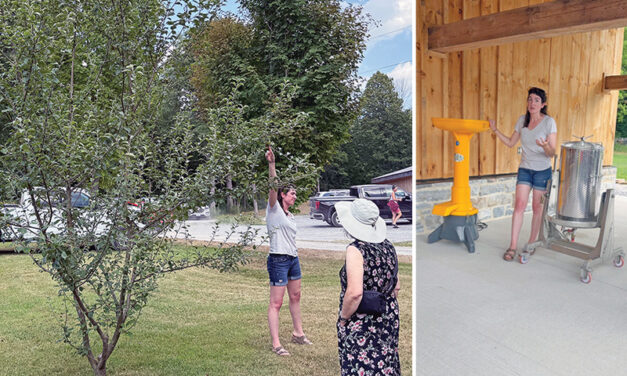 Farmgate Cider: A family affair in every sip