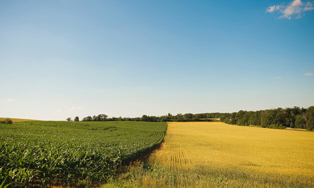 $14.6 Million investment will help farmers make improvements to farmlands