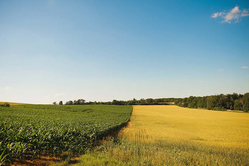 $14.6 Million investment will help farmers make improvements to farmlands