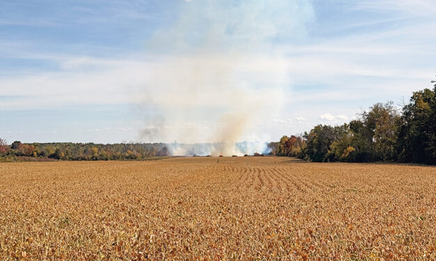 Firefighters battle stubborn blaze in soybean field near Monkland