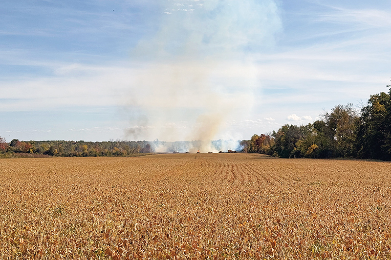 Firefighters battle stubborn blaze in soybean field near Monkland