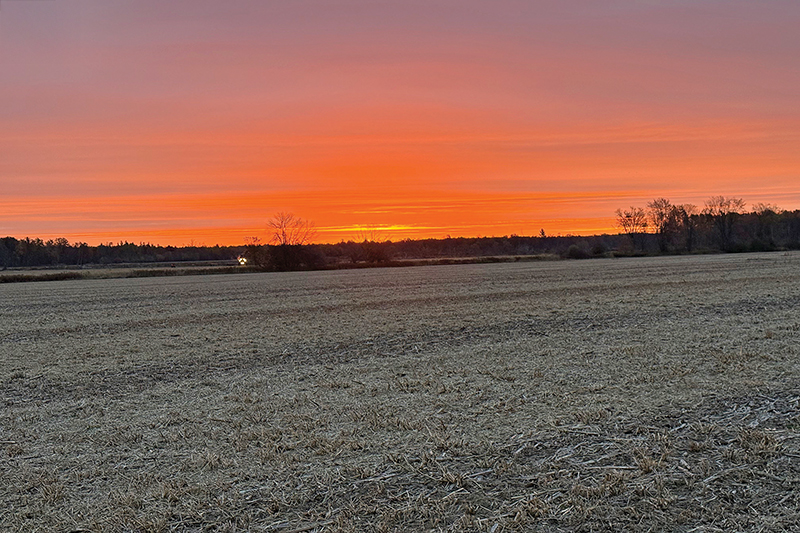 Nearing the end of 2025 and planting hope for 2026