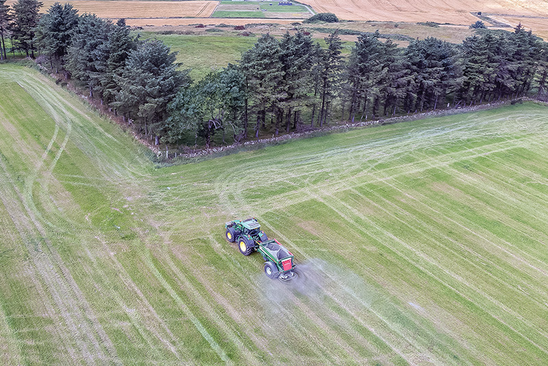 Microsoft contracts UNDO to deliver 28,900 tonnes of carbon removal