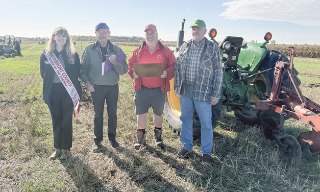 Perfect day for plowing