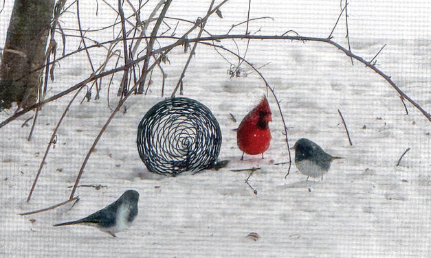 A sign of better days