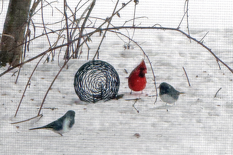 A sign of better days