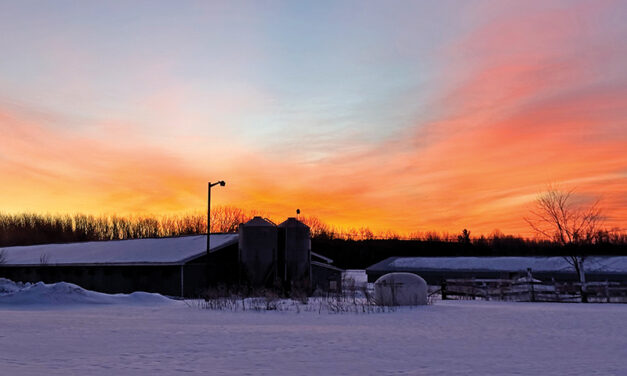 Beauty before the bite