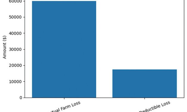 Understanding the cap on farm losses when you have off-farm income