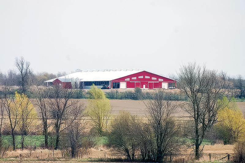 History of Cranberry Creek Dairy Farms Ltd. – Kars, Ontario