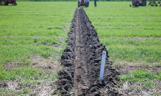 Plowing tradition continues at Ottawa-Carleton Plowmen’s Association Match