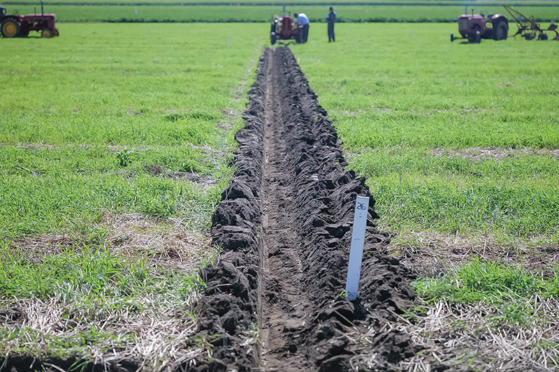 Plowing tradition continues at Ottawa-Carleton Plowmen’s Association Match